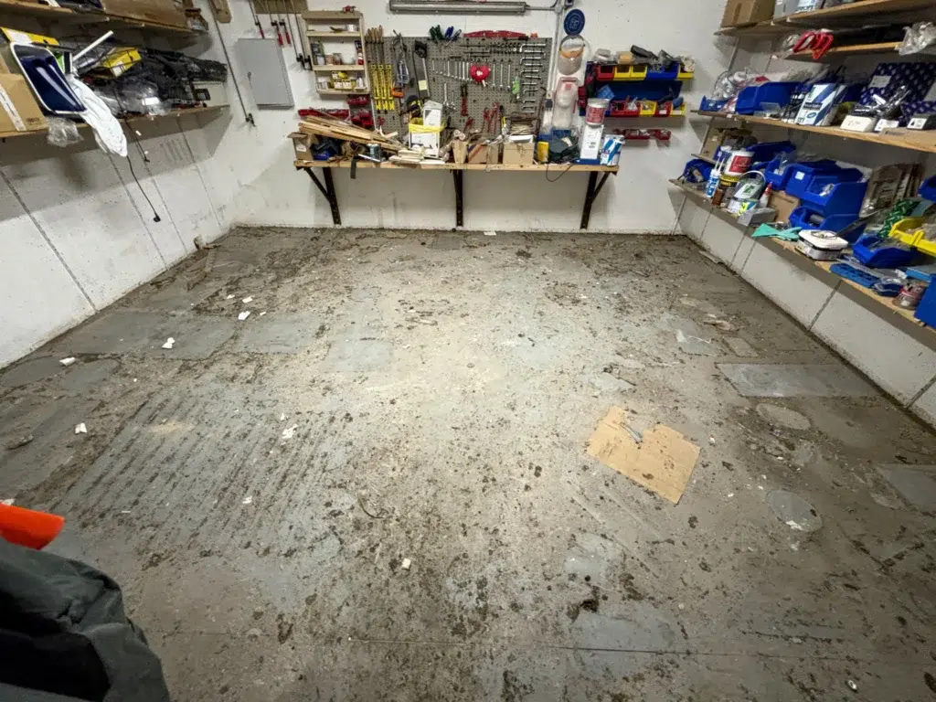 3DFC Propreté & Services entreprise service nettoyage Savoie 42